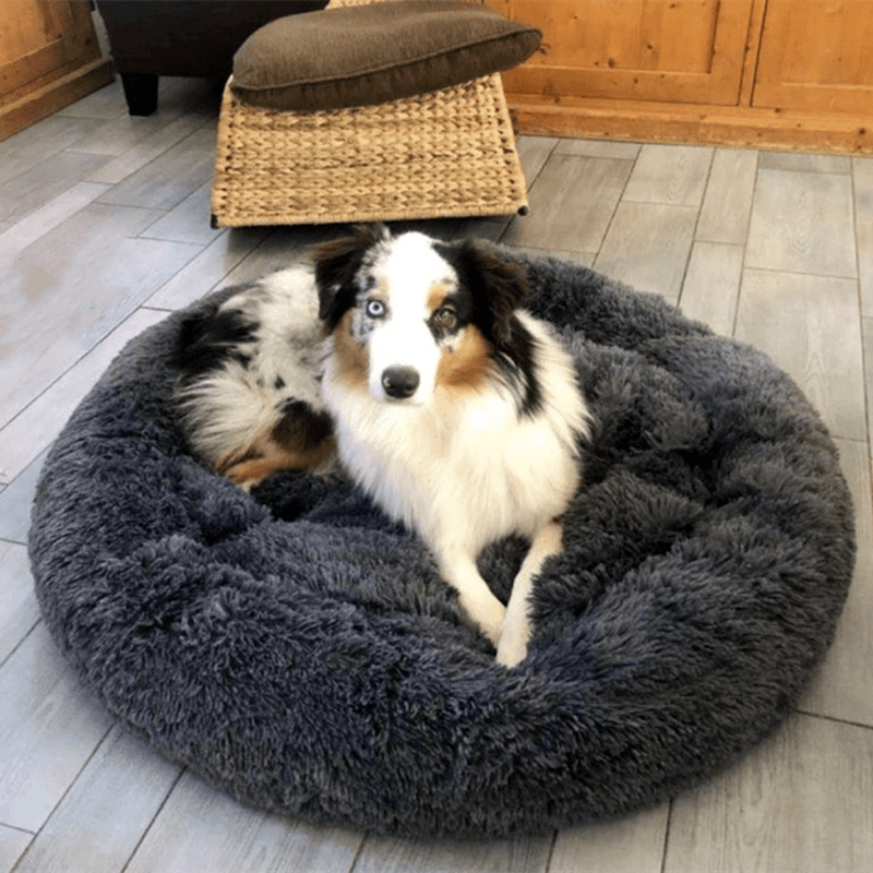 Cozy Pet Bed for Warmth and Comfort Indoors