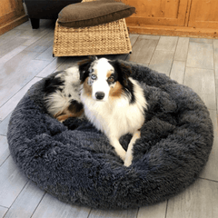 Cozy Pet Bed for Warmth and Comfort Indoors