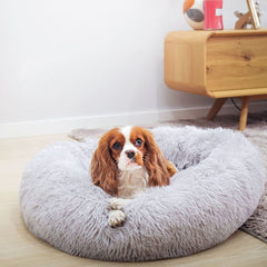 Cozy Pet Bed for Warmth and Comfort Indoors