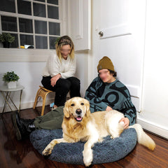 Cozy Pet Bed for Warmth and Comfort Indoors