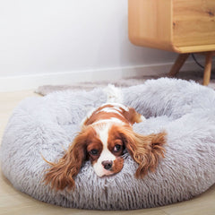 Cozy Pet Bed for Warmth and Comfort Indoors