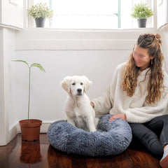 Cozy Pet Bed for Warmth and Comfort Indoors