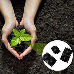 Plant Rooting Kit High Pressure Propagation Ball Grafting Rooter