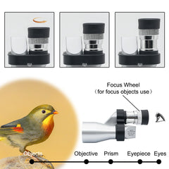 Portable Monocular Telescope for Outdoor Sports, Bird Watching