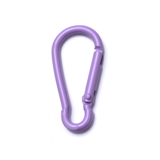 5pcs Mix Carabiner D Ring Key Chain Clip Spring Gate Safety Buckle Kayrings