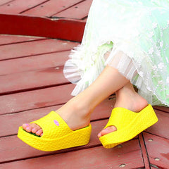 Women's Platform House Slippers Thick Sole Comfy Home Slides