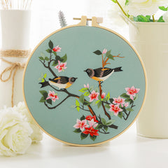 Birds Pattern Embroidery Kit for Beginner DIY Cross Stitch Set