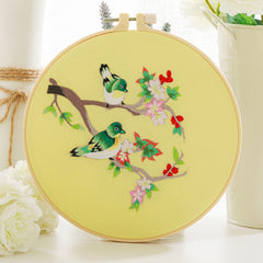 Birds Pattern Embroidery Kit for Beginner DIY Cross Stitch Set
