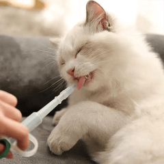 1 Pc Pets Feed Solid Pills Gun Pet Pill Dispenser Green