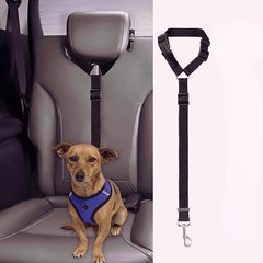 Pet Car Seat Belt and Leash for Safe Travel with Your Dog or Cat