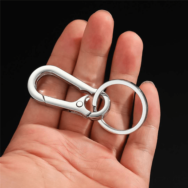Metal Car Keys Carabiner Keychain
