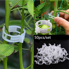 50pcs Tomato Plant Support Clips Keep Plants Upright & Vines Climbing