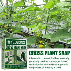 50pcs Cross Buckle Plant Support for Climbing Vines