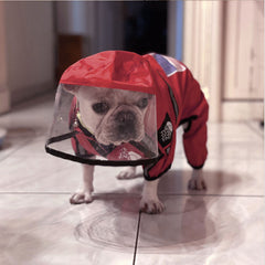 Stylish Pet Raincoat for All-Season Comfort