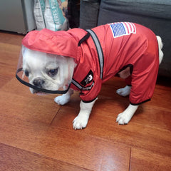 Stylish Pet Raincoat for All-Season Comfort