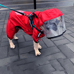 Stylish Pet Raincoat for All-Season Comfort