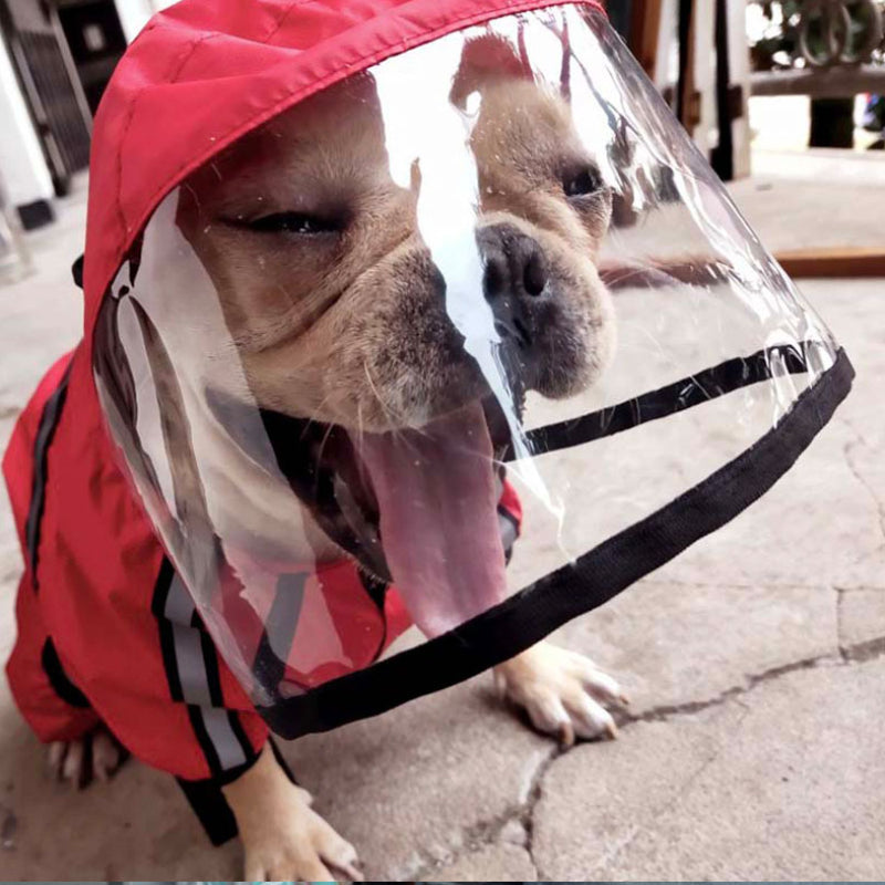 Stylish Pet Raincoat for All-Season Comfort