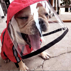 Stylish Pet Raincoat for All-Season Comfort