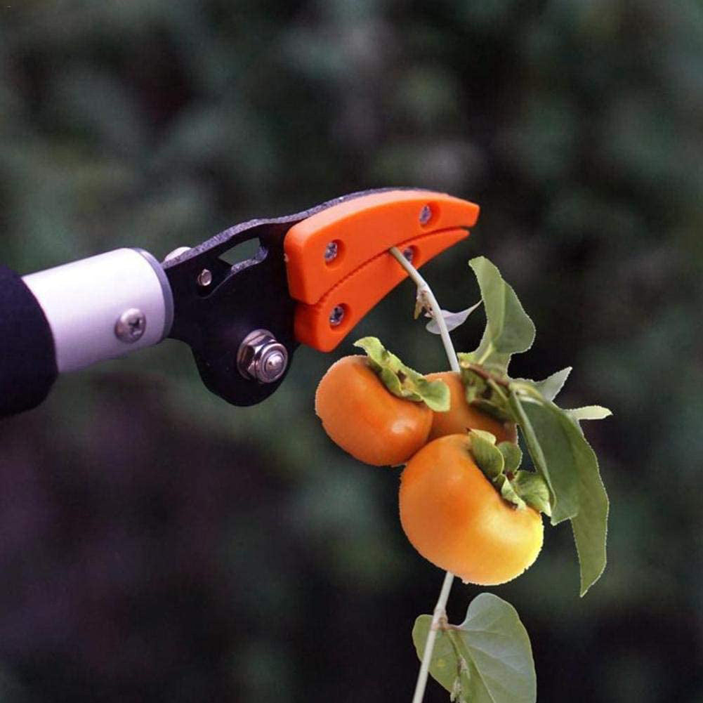 Fruit Picker Shear Gardening Tree Pruning Long Pole Cutter