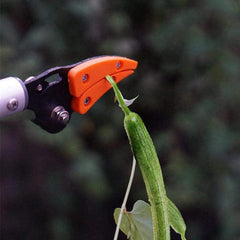 Fruit Picker Shear Gardening Tree Pruning Long Pole Cutter