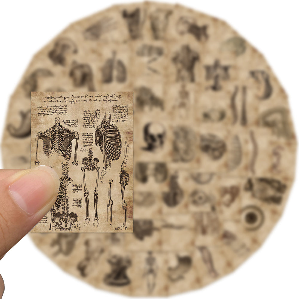 56pcs Anatomy & Physiology Body Stickers Waterproof Decorative Gift Stickers