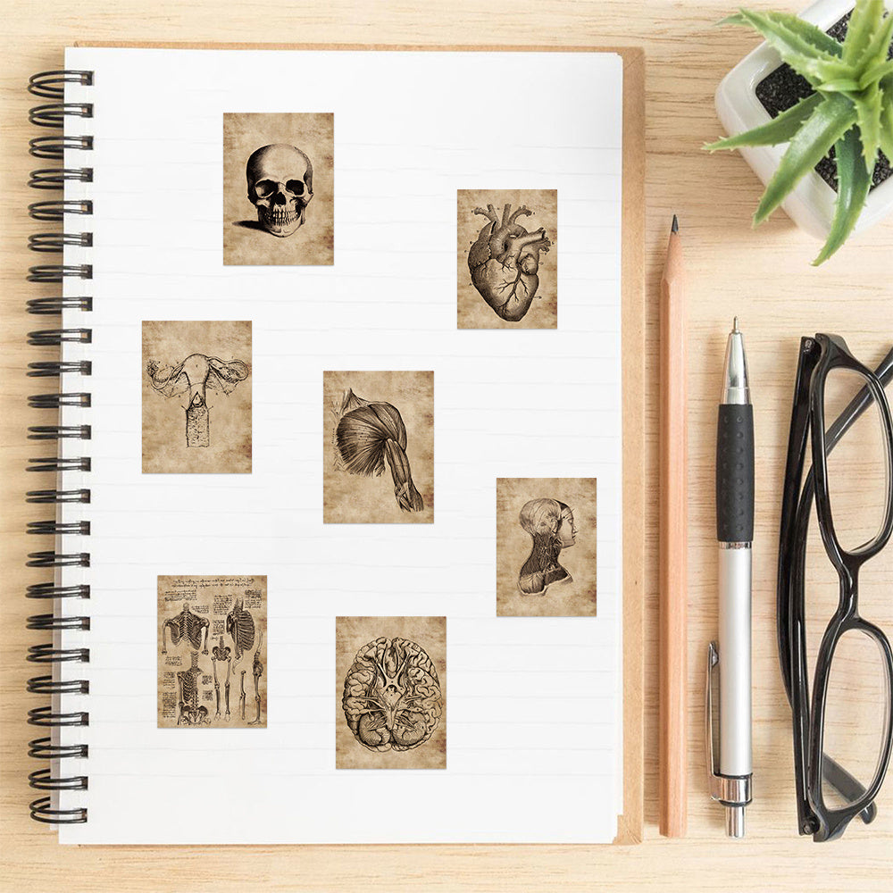 56pcs Anatomy & Physiology Body Stickers Waterproof Decorative Gift Stickers