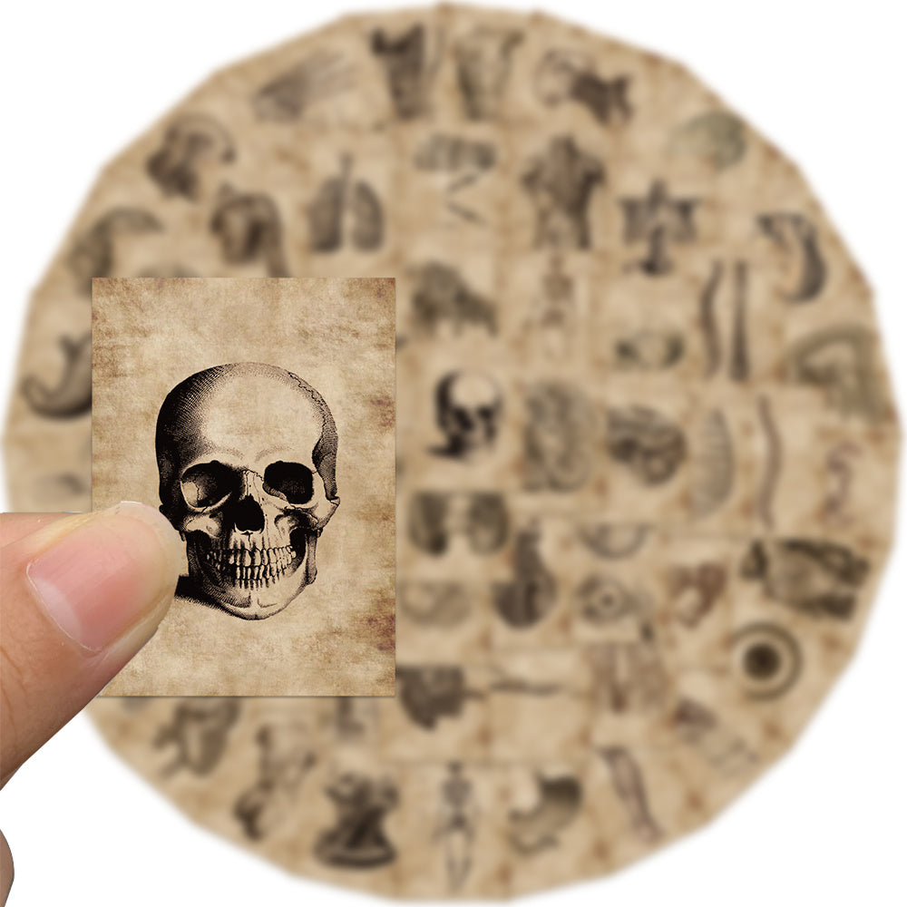 56pcs Anatomy & Physiology Body Stickers Waterproof Decorative Gift Stickers