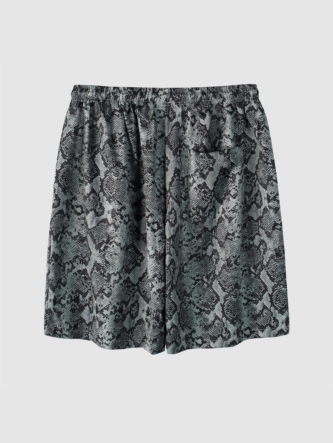 Men's Casual Quick Dry Beach Shorts Swim Trunks