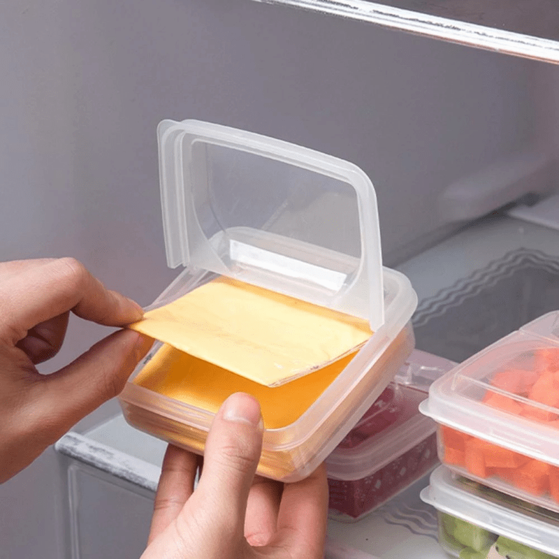 Butter Cheese Storage Box Portable Refrigerator Fresh Organ