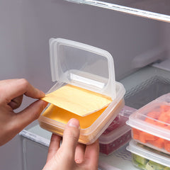 Butter Cheese Storage Box Portable Refrigerator Fresh Organ