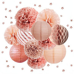 12pcs Rose Golden Paper Lanterns and Flower Poms Set