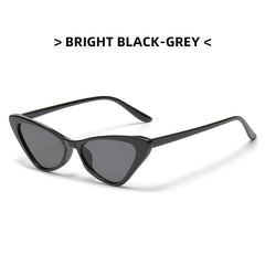 Men's Cat Eye Sunglasses Small Frame Retro Glasses With Box