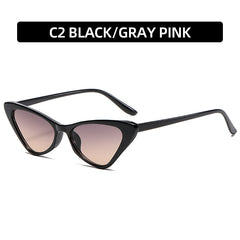 Men's Cat Eye Sunglasses Small Frame Retro Glasses With Box