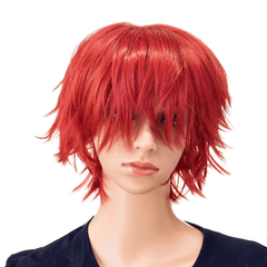 Short Anime Cosplay Wig Handsome Fiber Wig For Men