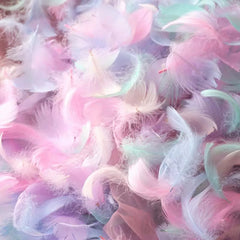 100pcs Colorful Feather Filler DIY Wedding Party Decoration Natural Goose Feathe