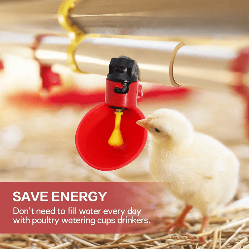 20pcs Automatic Poultry Water Cups for Quail Duck Hen Drinking & Feeding