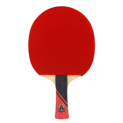 3 Star Paddle Set with Long/Short Handle & Storage Bag