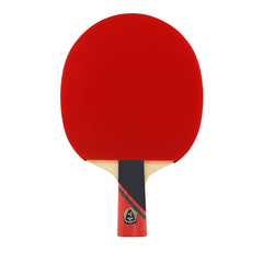 3 Star Paddle Set with Long/Short Handle & Storage Bag