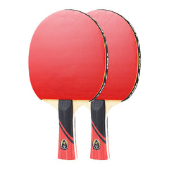 3 Star Paddle Set with Long/Short Handle & Storage Bag