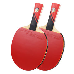 3 Star Paddle Set with Long/Short Handle & Storage Bag