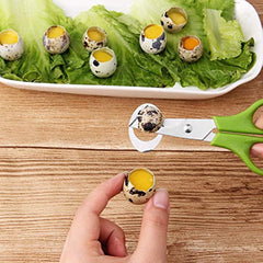 Calary Quail Egg Cutter Scissors Kitchen Shears Tool Green