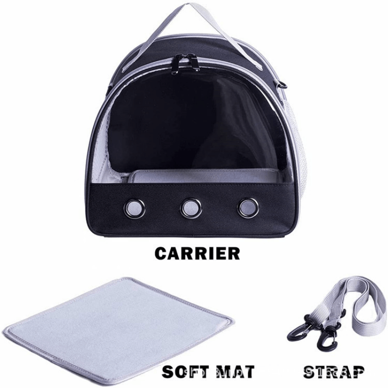 Transparent Travel Carrier for Small Pets - Guinea Pigs, Hamsters, Hedgehogs