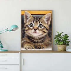 Cat Animal Diamond Painting Kit 20x30cm Frameless