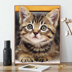 Cat Animal Diamond Painting Kit 20x30cm Frameless