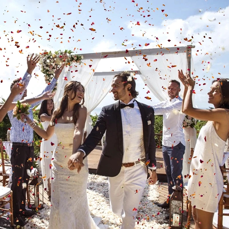 Wedding Dried Flower Petals Confetti Rose Biodegradable 10g