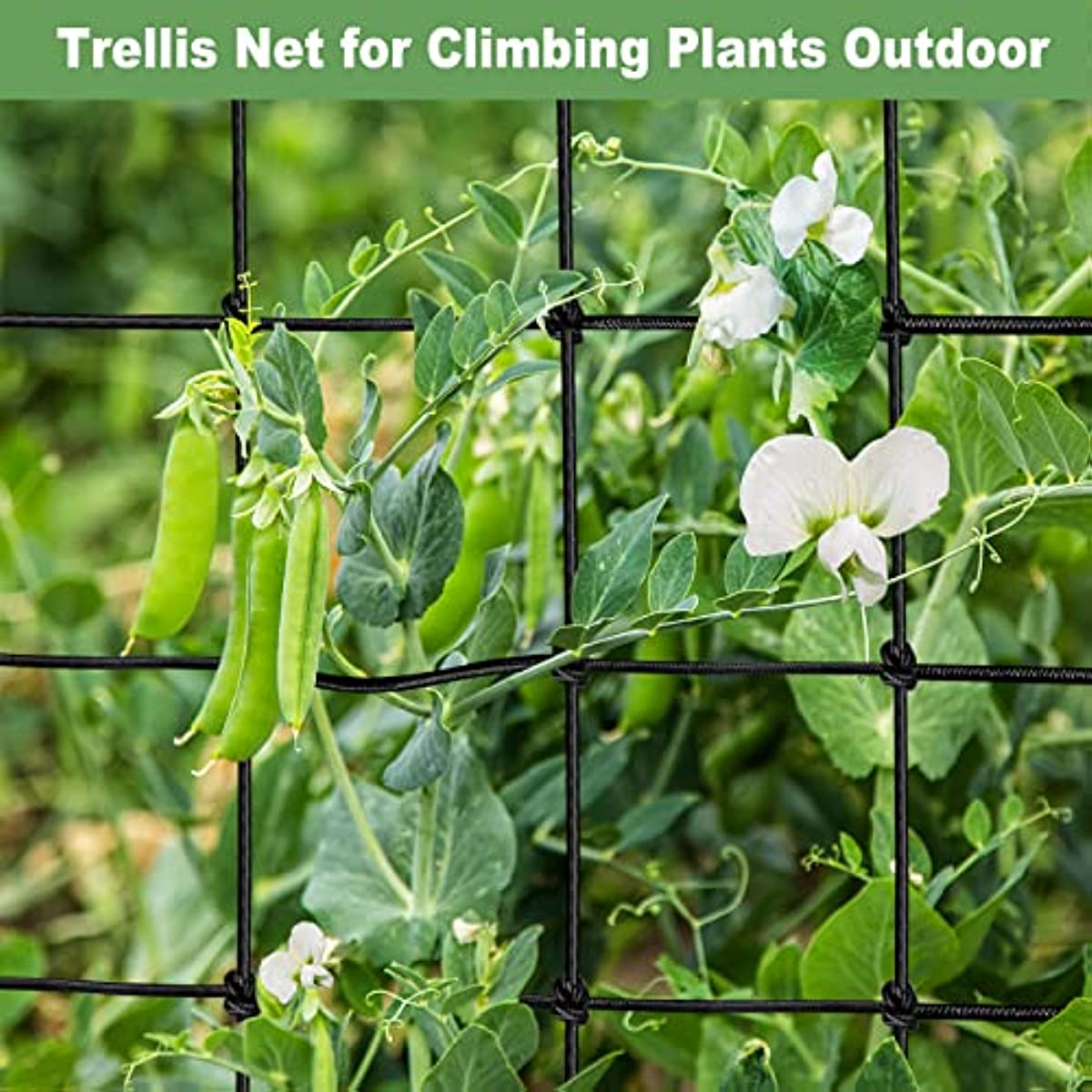 Heavy Duty Elastic Net for Grow Tent and Garden Climbing Plants