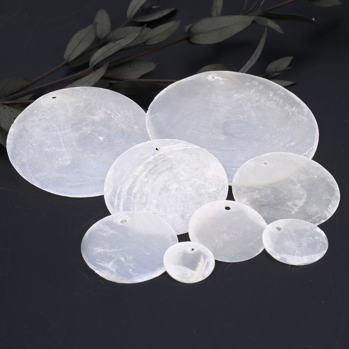20pcs Mother Of Pearl Shell Beads Matte Transparent Round Coin for DIY Jewelry