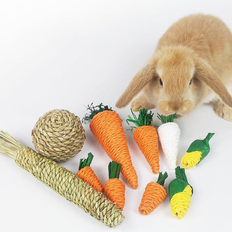 Woven Chew Toy for Hamsters and Rabbits with Carrot