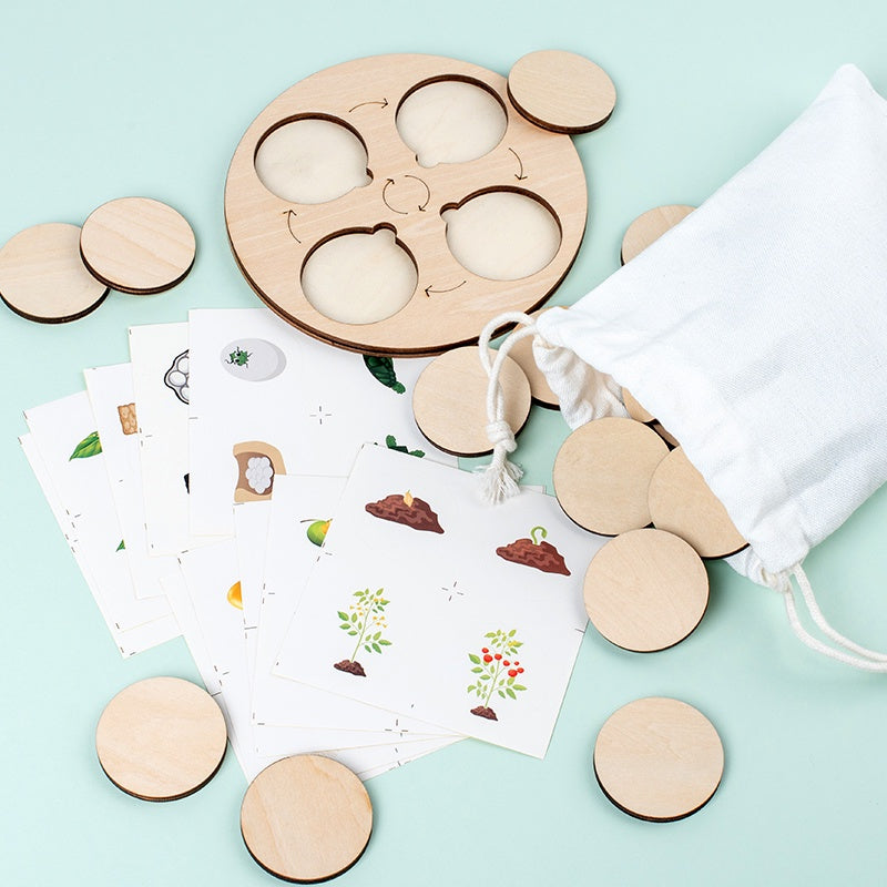 Animal Life Cycle Learning Set Educational Toy