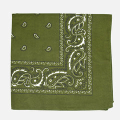 Paisley Print Bandana 55 Casual Square Scarf Handkerchief Hip Hop